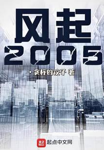 风起2005